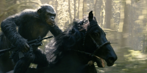 Dawn of the Planet of the Apes shows a growing nation of genetically evolved apes - a concept that research supports.