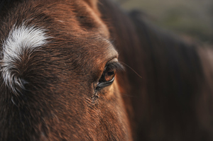 File photo / Thinkstock