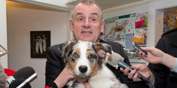 Trevor Mallard announces Labour's policy at a Wellington vet's clinic with his dog Violet. Photo / Mark Mitchell