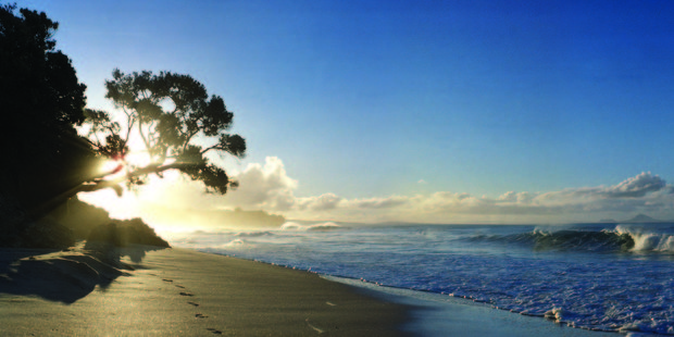 Waipu, with its blue skies and long white beaches, must have seemed like seventh heaven to the Scottish settlers. Photo / Northland Naturally