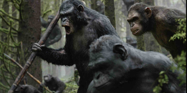 Apes are fearsome creatures.