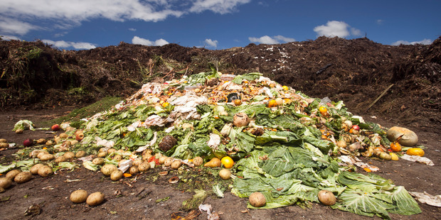 Food waste collected from Auckland CBD businesses.
Photo / Michelle Hyslop
