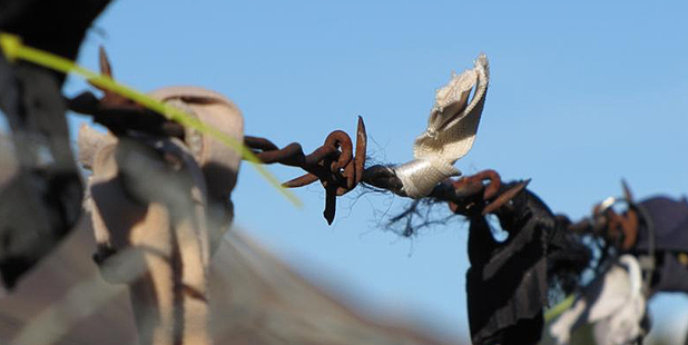 Hundreds of bras have been stripped from Cardrona's bra fence. Photo / Mark Price.
