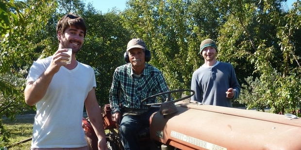Travellers exchange their diverse skills, from tractor driving and other farm work to photography and website development, for free board and lodging.