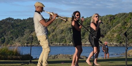 Performers helped to more than double $28,000 in donations to help Direction Waiheke block the marina, said group leader John Hawkesby.