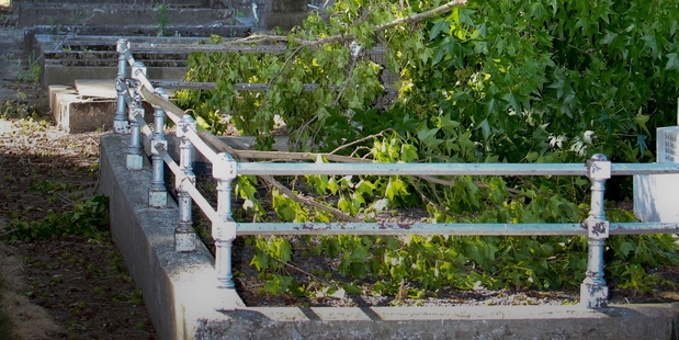 Strong winds brought branches down and blew flowers around the cemetery in Orchard Rd, Hastings, yesterday.Photo/Glenn Taylor