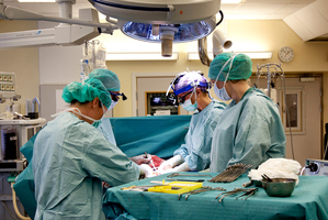 The Swedish research team practices before the operations to transplant wombs at the Sahlgrenska Hospital. Photo / AP