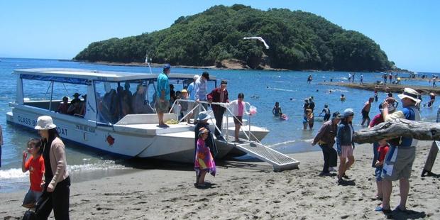 The glass-bottom boat at Goat Island Marine Reserve provides a fascinating look at what's beneath the waves.