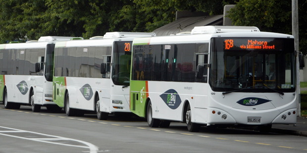 More frequent bus services have seen a record number of passengers.