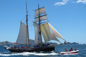 Crew members on tall ship R.Tucker Thompson pulled the man from the water in the Bay of Islands.