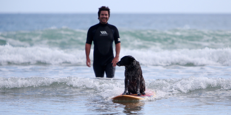 Josh Borlase gets a surfing lesson from Roy, his Queensland Blue Heeler. Photo/Michael Cunningham