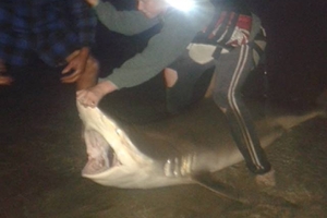 Reuben Martin with the 2m, 160kg bronze whaler shark he caught.