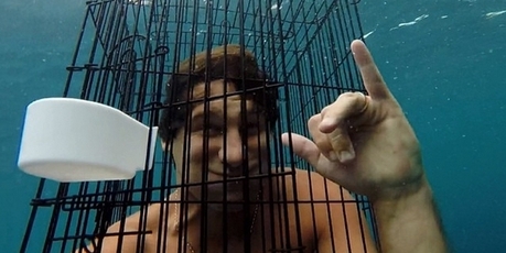Shaun Harrington had a lucky escape after going near a shark with a birdcage on his head.