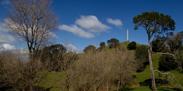 Cornwall Park provides significant amenity for more intensive housing development, says a Unitary Plan submission. Photo / Richard Robinson