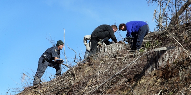 COMBING THE AREA: Police search and rescue members at the forestry site in the Brynderwyn Hills where a team planting pines discovered the human remains. PHOTO/JOHN STONE