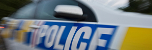 Driver killed in power pole crash named