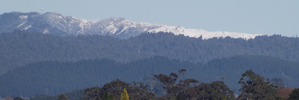 A reader sent this picture in of snow on the Kaimai Range. The picture was taken from Selwyn St, Tauranga.