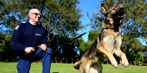 Tauranga Dog Squad boss and handler Paul Selby is retiring at the end of week. PHOTO/GEORGE NOVAK