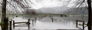 Because of the storms, the IRD has allowed farmers affected by the floods to make later deposits into the income equalisation scheme. Photo / Christine Cornege