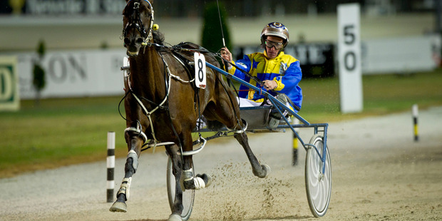 Number 8 Themightyquinn, driver Gary Hall. Photo / Dean Purcell