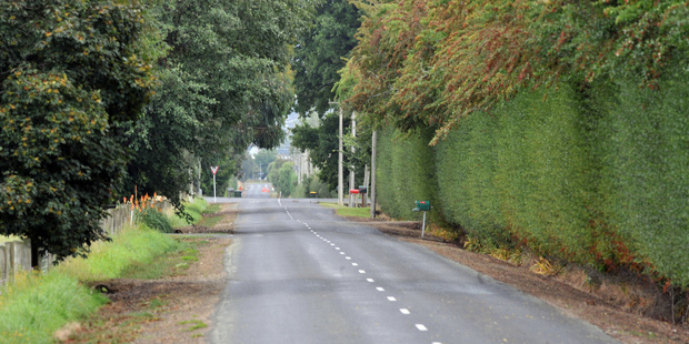 Mosgiel's quiet country roads make driving pleasant. Photo / NZPA