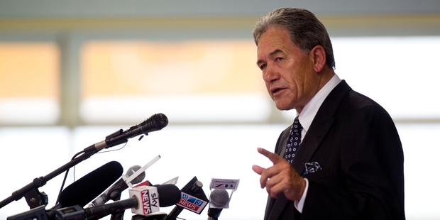 Winston Peters says the policies aim to tackle inequality. Photo / Richard Robinson