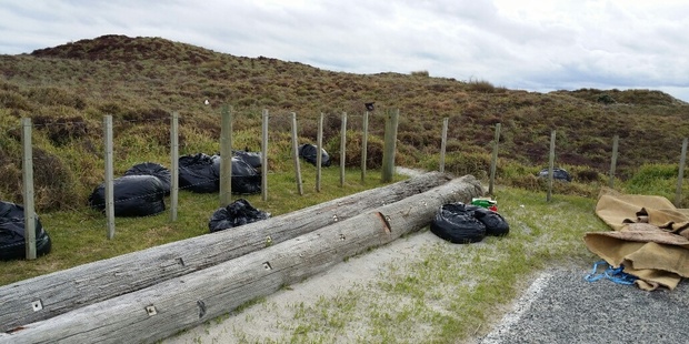 At least 11 bags of rubbish was dumped at Papamoa Beach's Harrison's Cut at the weekend.