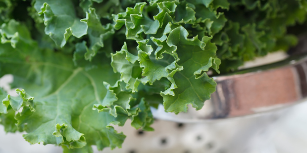 Photo / Thinkstock