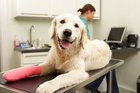 Photo / Thinkstock Photo / Thinkstock