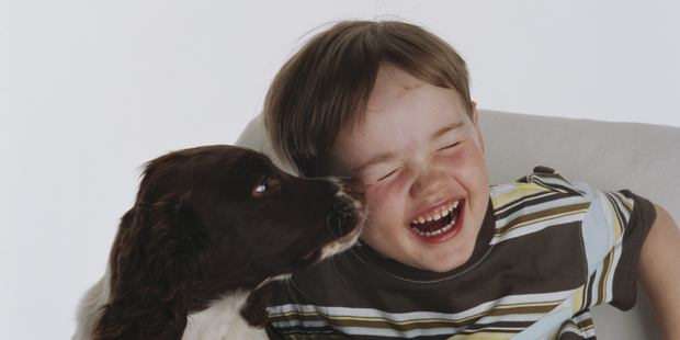 The findings of the study may not surprise dog owners. Photo / Getty Images