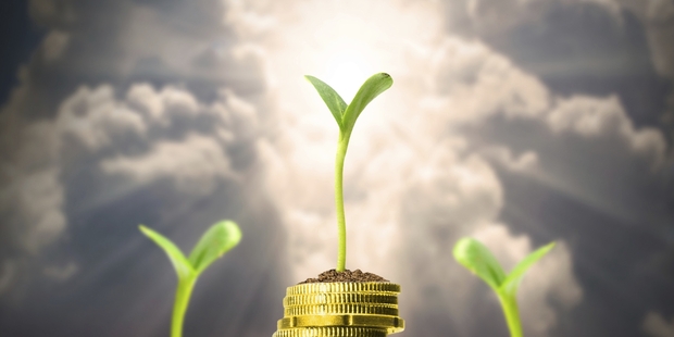 As a business owner, you control your own destiny and can get 25 per cent or more a year on your investment. Photo / Getty Images