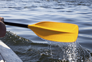 File photo / Thinkstock