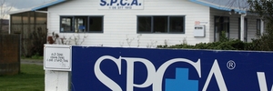SECRET PROBE: A private investigator is looking into business matters at the Wairarapa SPCA. PHOTO/LYNDA FERINGA