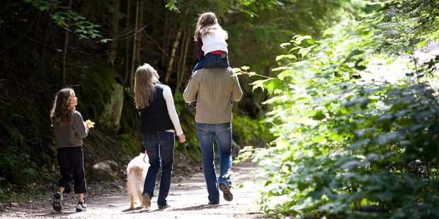 The effects of nature are "not enough on people's radar." Photo / Getty Images