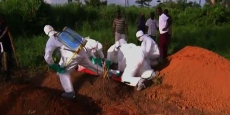 http://media.nzherald.co.nz/webcontent/image/jpg/201431/Deadly_Ebola__460x230.jpeg