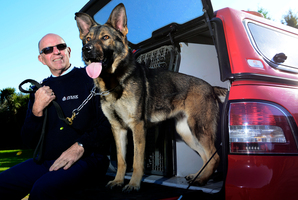 Tauranga Dog Squad boss and handler Paul Selby is retired after a stellar career. Photo/George Novak