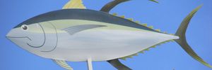 RGP 31Jul14 - The correct answer for last week's Where in the World (Eastern Bay) competition was indeed Otarawairere.And the winner drawn from the correct entries was Julia Searle. Come in to ou