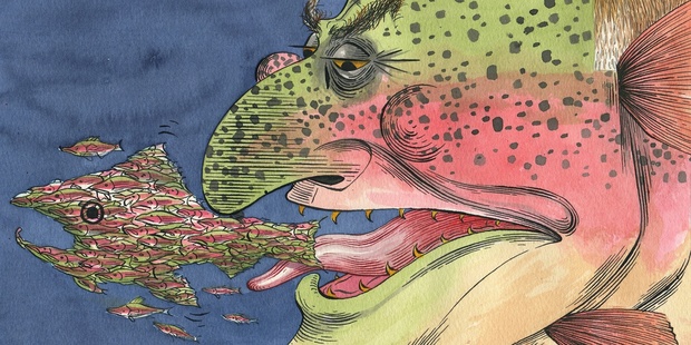 Illustration / Anna Crichton
