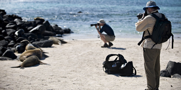The sea lions of Espanola Island in the Galapagos are a magnet for the cameras of visitors to the place that inspired Charles Darwin. Photo / Supplied
