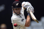 The fact remains Williamson is more valuable to NZ cricket swinging a willow than establishing cherry marks on his whites. Photo / NZ Herald The fact remains Williamson is more valuable to NZ cricket swinging a willow than establishing cherry marks on his whites. Photo / NZ Herald