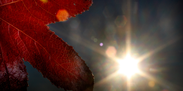 Photo / Christine Cornege