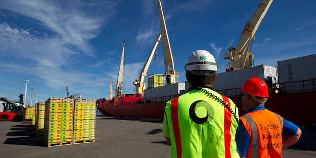The first consignment of kiwifruit for the 2014 season is loaded aboard a ship at the Port of Tauranga bound for markets in Asia. Photo / Alan Gibson