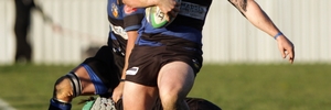 Havelock North flyer son of a gun