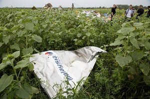 A piece of MH17 near the village of Rozsypne, Ukraine. Photo / AP