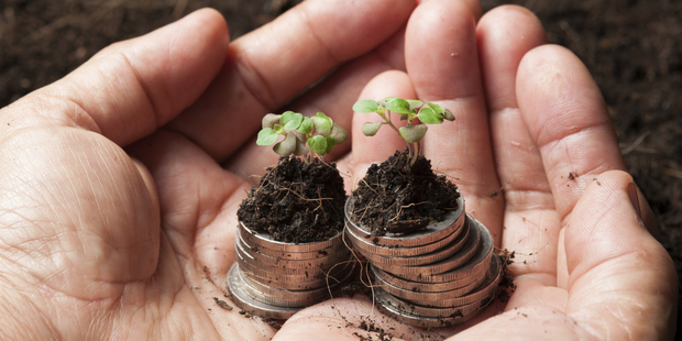 Ethical investments in Australia and New Zealand have increased by at least 13 per cent over the year to December 2013, according to a new report. Photo / Thinkstock