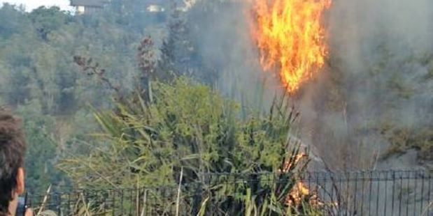 The Allen family saved their neighbour's house from being caught in a scrub fire in Bay View yesterday. Photo / Supplied