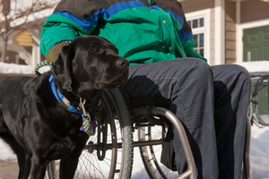 A woman with multiple sclerosis and her service dog. Photo / Thinkstock