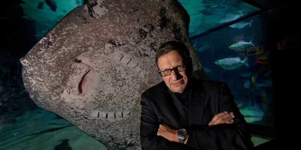 David Doubilet's photo exhibition gives rare insight into diverse sea life from tropical waters to the Antarctic oceans. Photo / Brett Phibbs