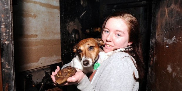 Saved by the bark ... Mosgiel teen Katie O'Brien with her family's miniature Jack Russell, Jewels, and a melted smoke alarm. Photo / Craig Baxter