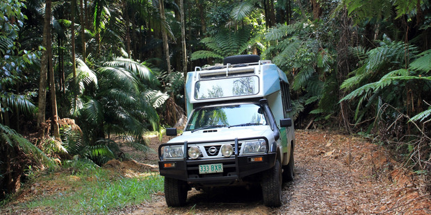 Offbeat Tours' eco-trips take you for a leisurely, entrancing taste of Conondale National Park rainforest in Queensland's hinterland.